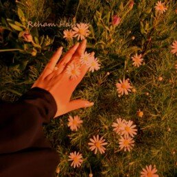 Peace is... 20240622 231254