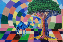 30x40 socotra