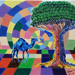 30x40 socotra